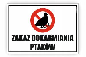 Dokarmianie ptaków